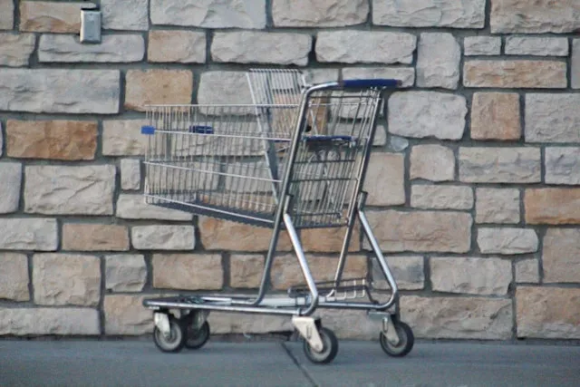 Les différents types de chariots disponibles pour la mise en rayon