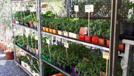 [Interview] Témoignage d’Atelier Fleuri (jardinerie à Barjac)